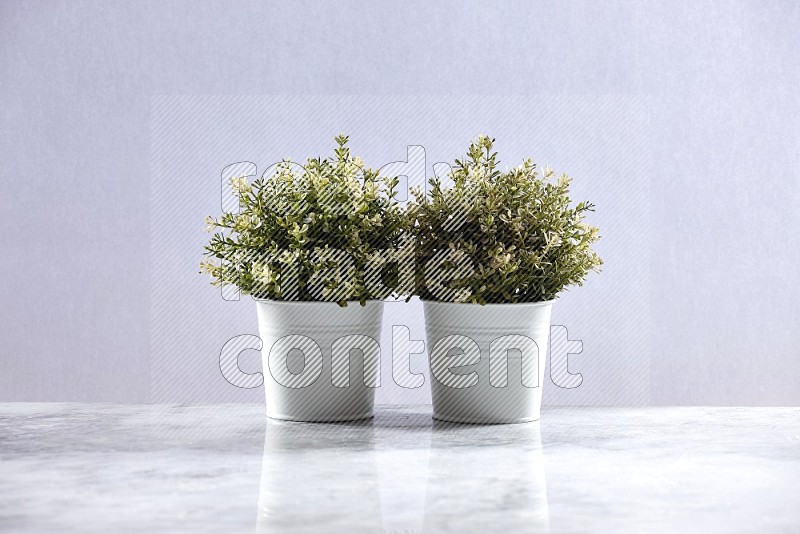 Two Thyme Artificial Plants in White Pot on Light Grey Marble Flooring 15 degree angle
