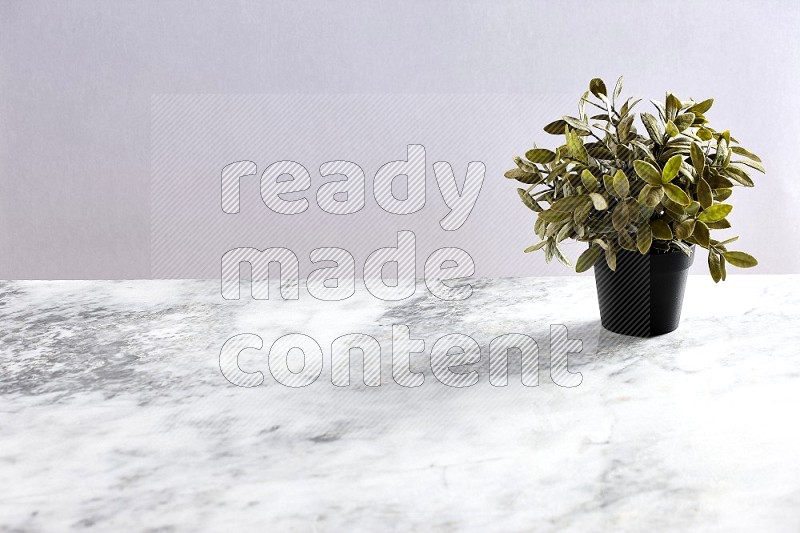 Artificial Plant in black pot on Light Grey Marble Background 45 degree angle