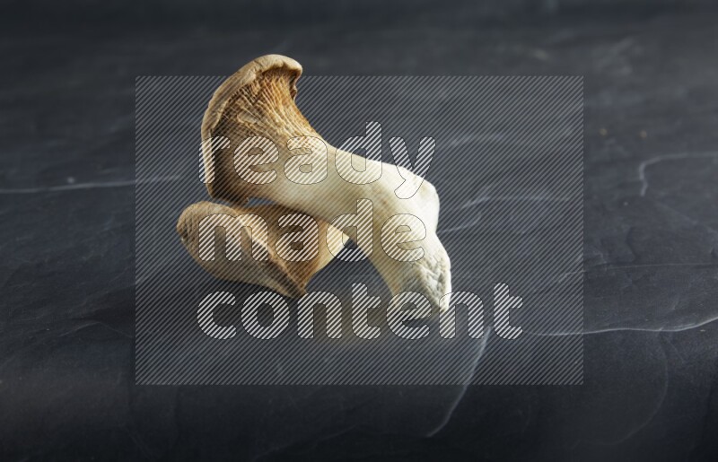 45 degre king oysters mushrooms on a textured black slate background