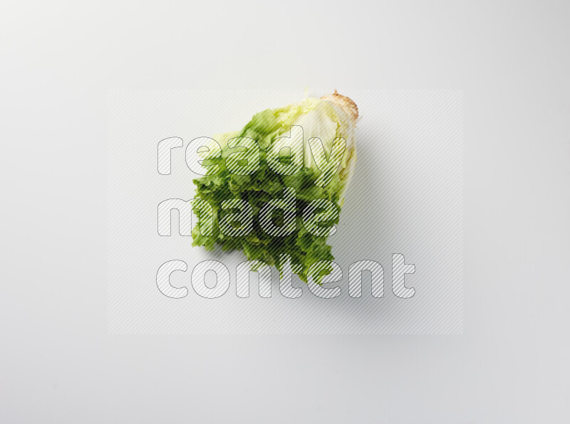 A fresh head of lettuce with green leaves on white background