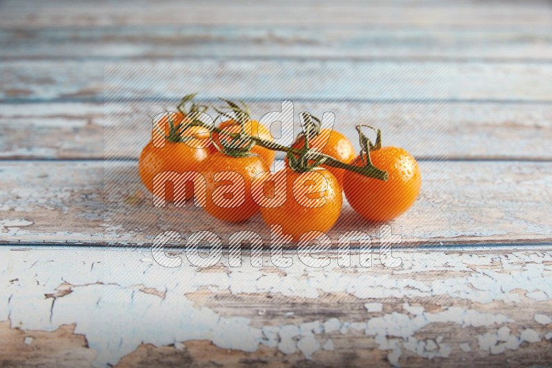 orange cherry tomato vein on a textured blue wooden background 45 degree