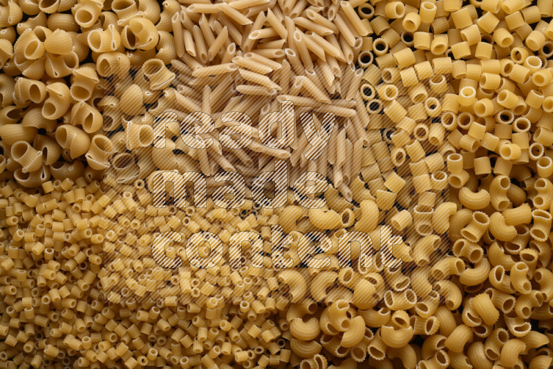 5 types of pasta filling the frame