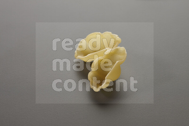 Snails pasta on grey background