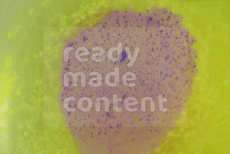 The image captures a dramatic splatter of purple paint over a yellow backdrop