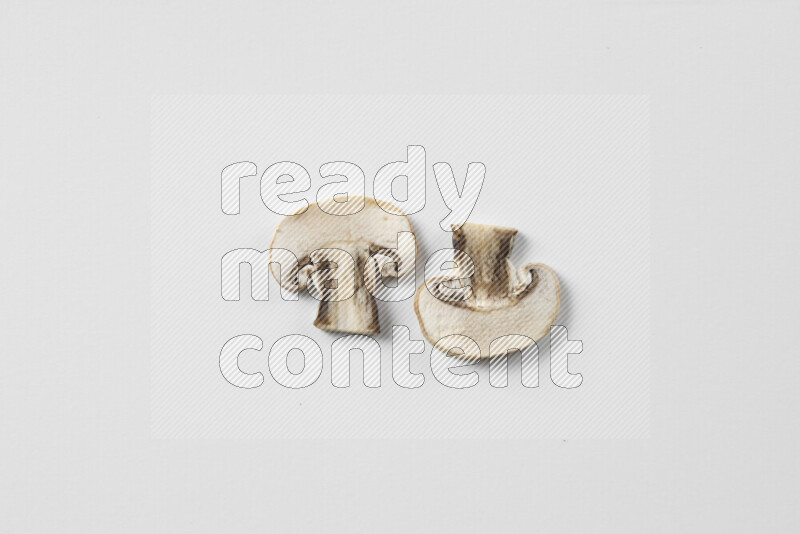 Mushrooms on white background