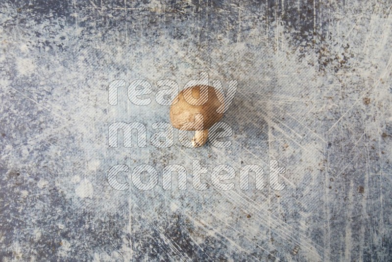 single fresh shiitake Mushroom topview  on a blue textured background