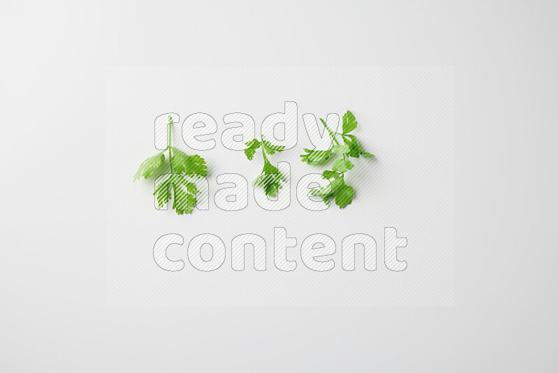 Short fresh parsley sprigs with vibrant green leaves on white background