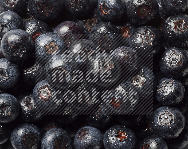 top view shot of blueberries