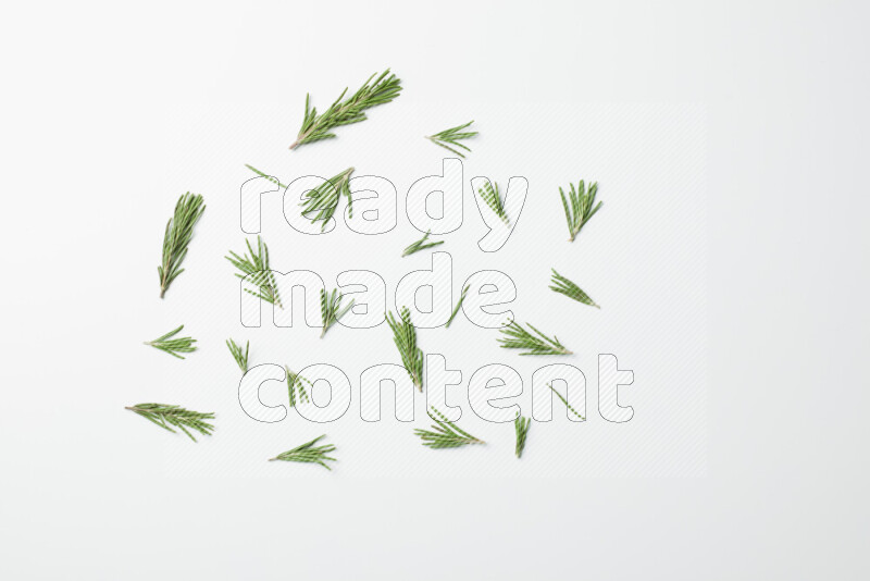 Multi fresh rosemary sprigs on white background