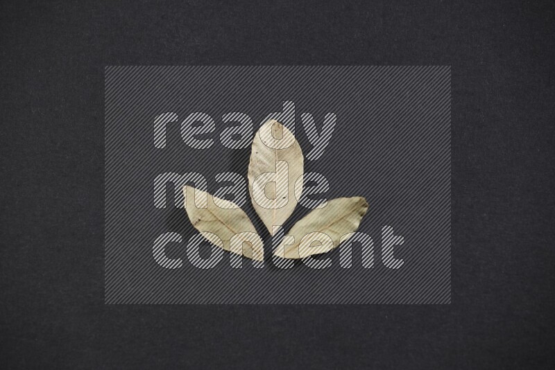 أوراق الغار المجففة علي خلفية سوداء