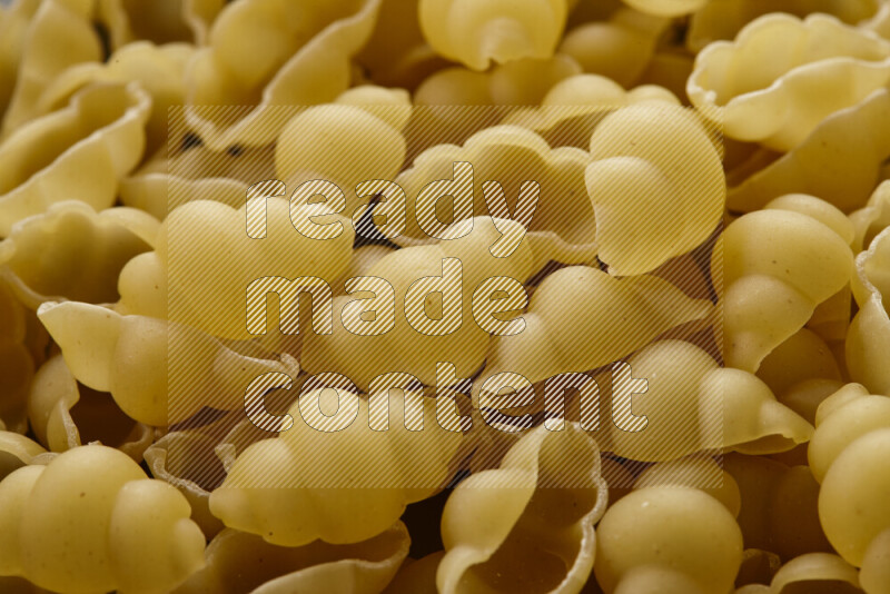 Snails pasta on grey background