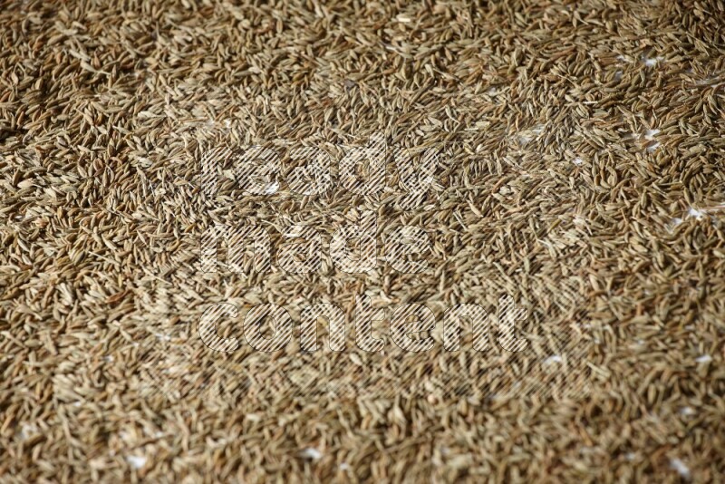 Cumin seeds on white flooring
