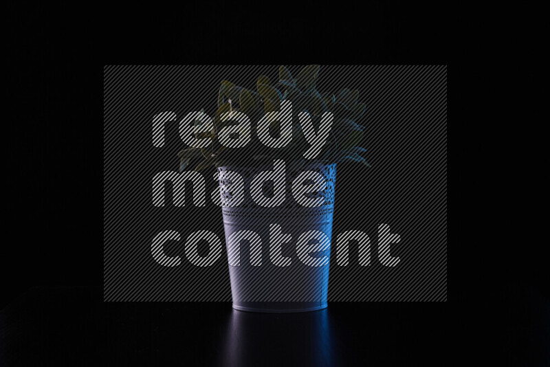 Plastic potted plant with colored rim light against black background