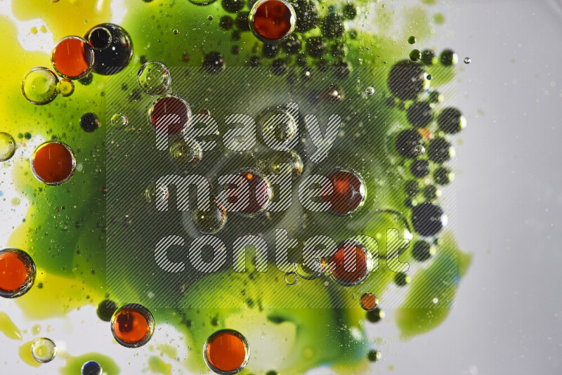 لقطات مقربة لقطرات ألوان مائية حمراء وزرقاء وصفراء وخضراء على سطح الزيت على خلفية بيضاء