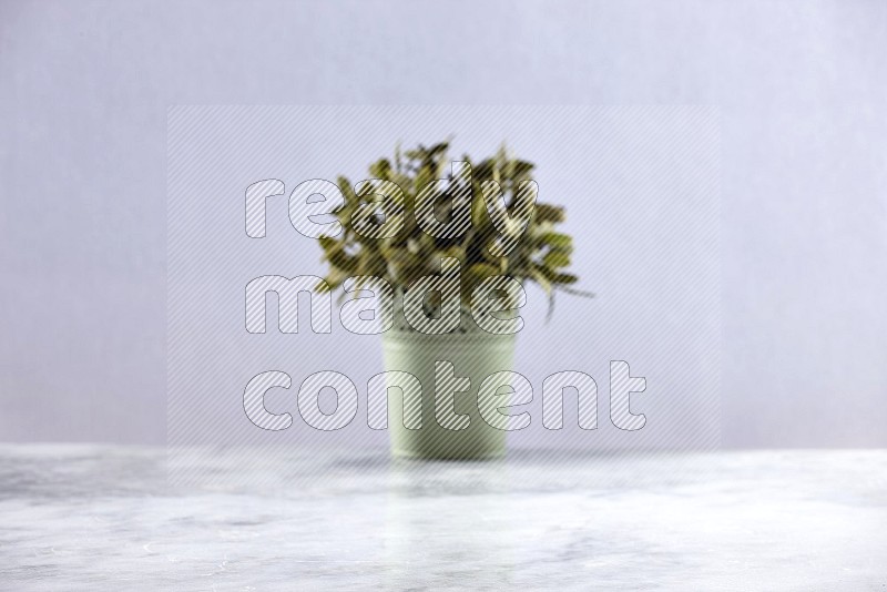 Artificial Plant in light green pot (out of focus background) on Light Grey Marble Flooring 15 degree angle