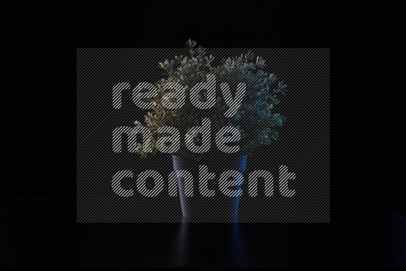 Plastic potted plant with colored rim light against black background