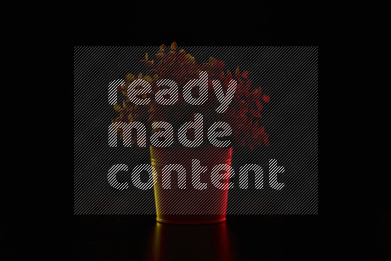 Plastic potted plant with colored rim light against black background