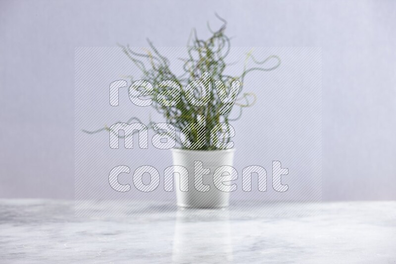 Artificial plant in white pot on grey marble background