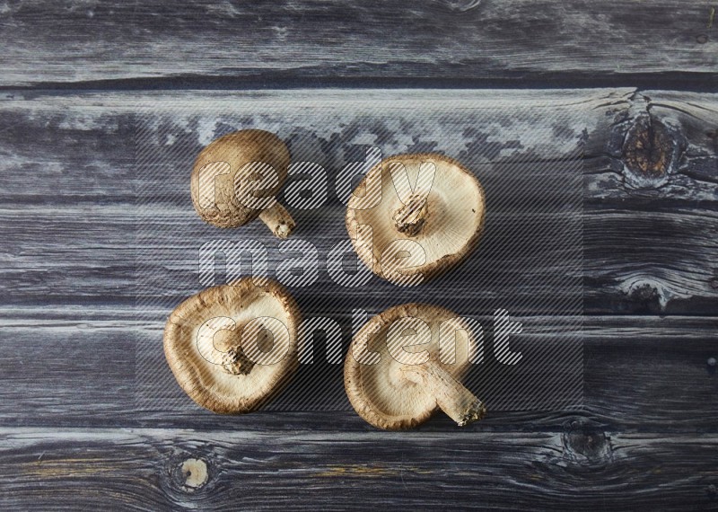 group of fresh shiitake Mushrooms topview on a grey wooden background