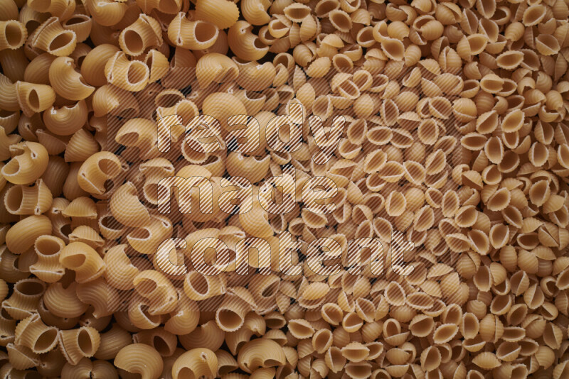 2 types of pasta filling the frame