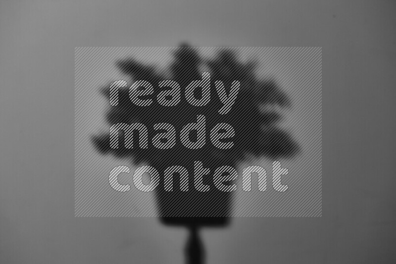 يظهر ضوء غوبو خافت ظلال أوراق نبات تسقط على سطح ناعم