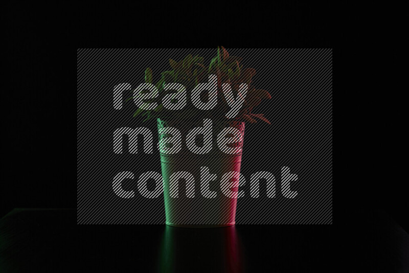 Plastic potted plant with colored rim light against black background