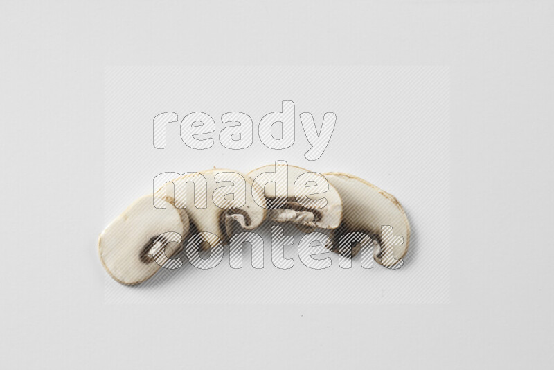 Mushrooms on white background