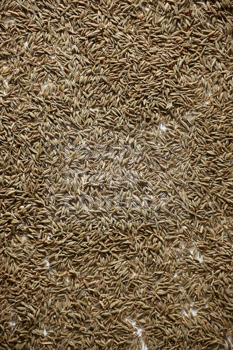 Cumin seeds on white flooring