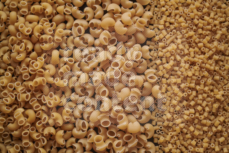 3 types of pasta filling the frame