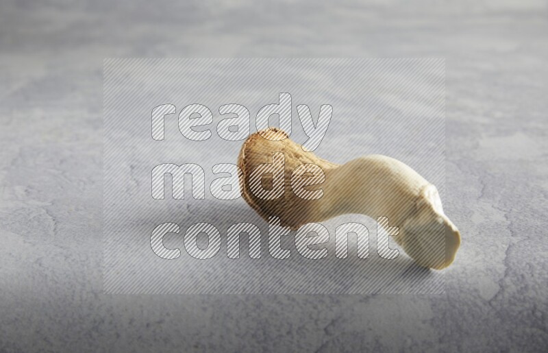 45 degre king oysters mushrooms on a textured light blue  background