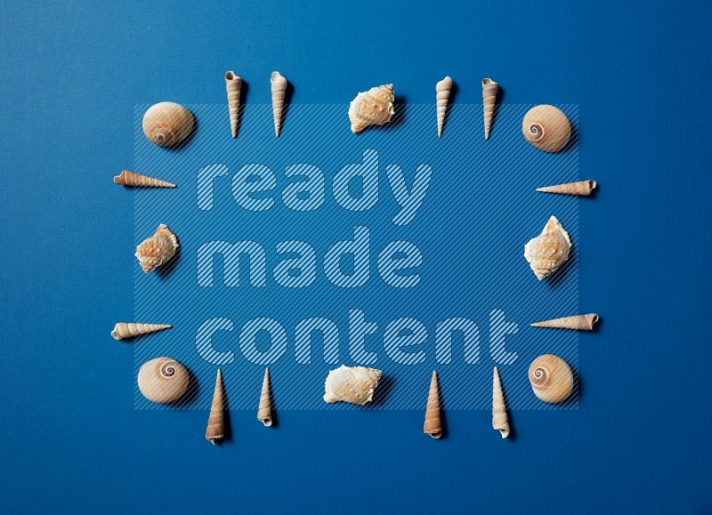 top view shot of seashells arrangement on blue background