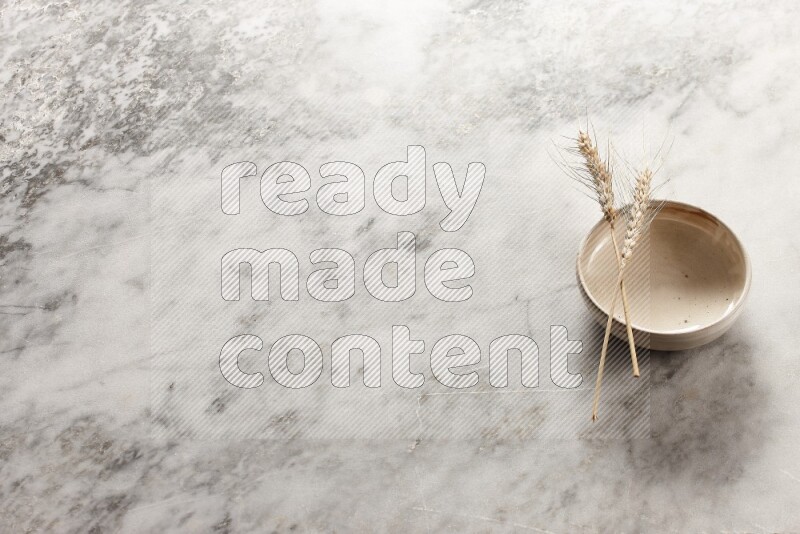 Wheat stalks on Beige Pottery Bowl on grey marble flooring, 45 degree angel