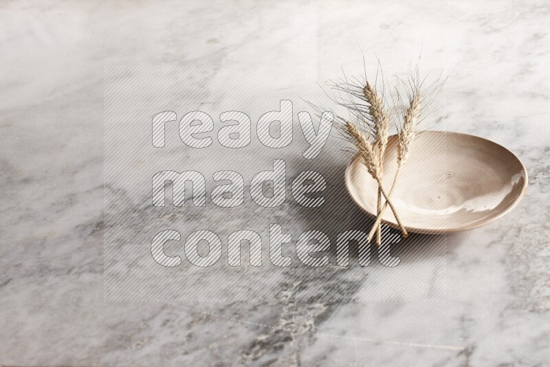 Wheat stalks on Beige Pottery Plate on grey marble flooring, 45 degree angel