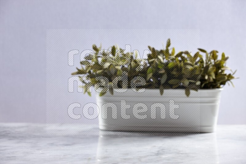 Artificial plant in white pot on grey marble background