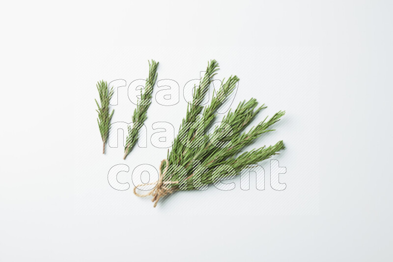 Multi fresh rosemary sprigs on white background