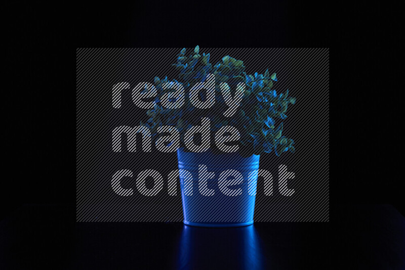 Plastic potted plant with colored rim light against black background