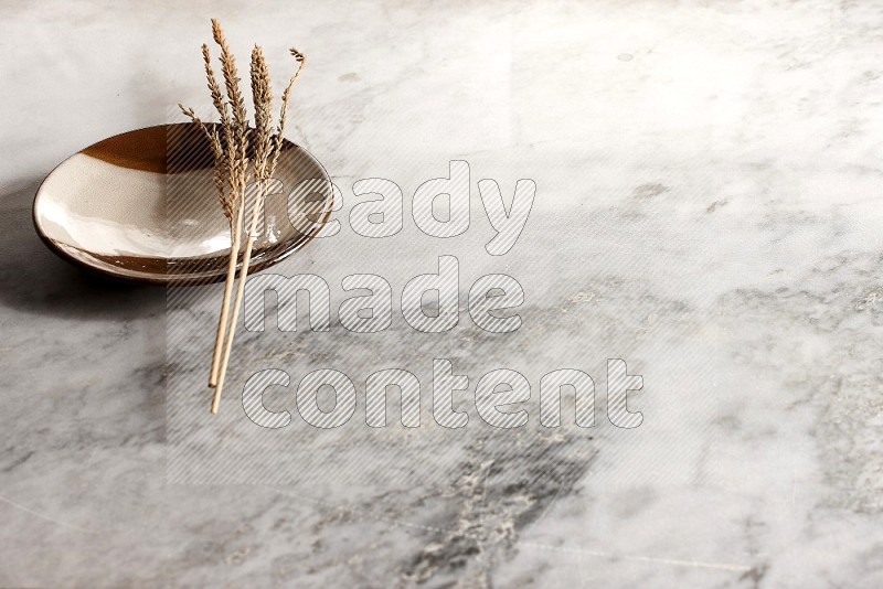 Wheat stalks on Multicolored Pottery Plate on grey marble flooring, 45 degree angle