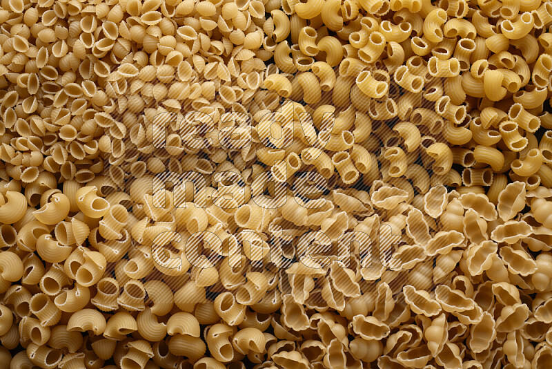 4 types of pasta filling the frame