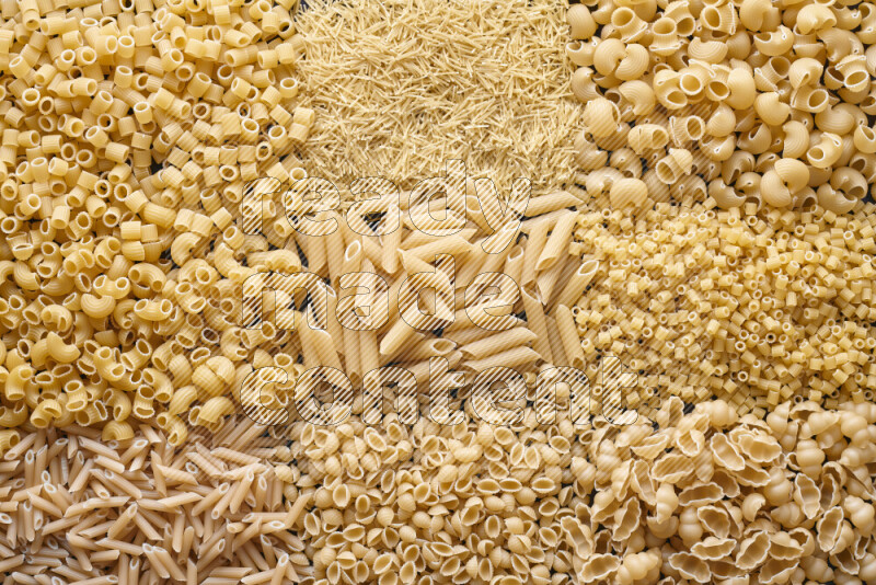 9 types of pasta filling the frame
