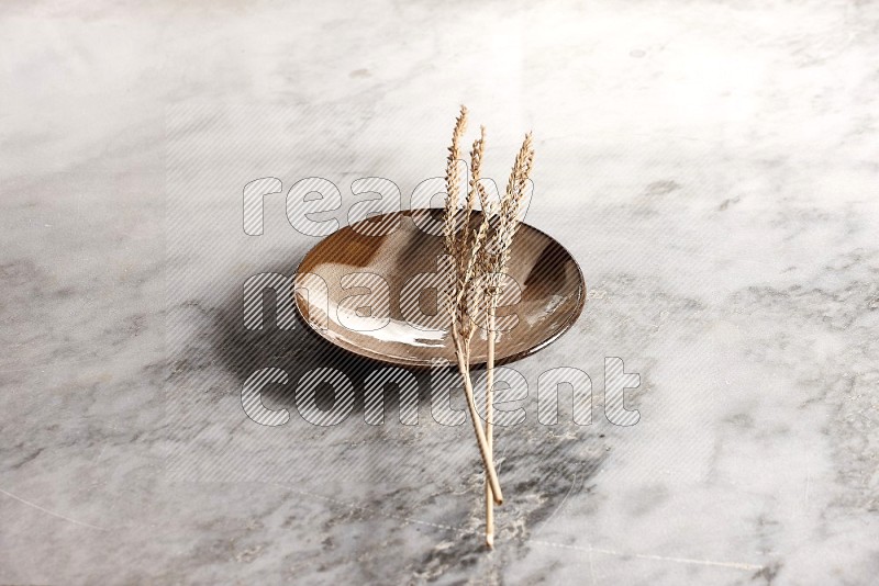 Wheat stalks on Multicolored Pottery Plate on grey marble flooring, 45 degree angle