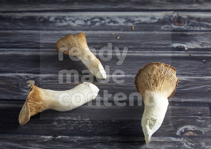 45 degree two king oysters mushrooms on a textured grey wooden background
