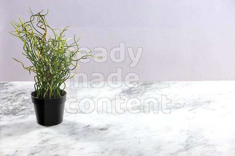 Artificial Plant in black pot on Light Grey Marble Background 45 degree angle