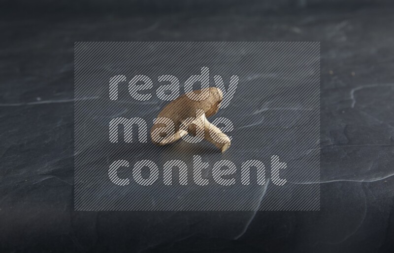 45 degre shiitake mushrooms on a textured black slate background