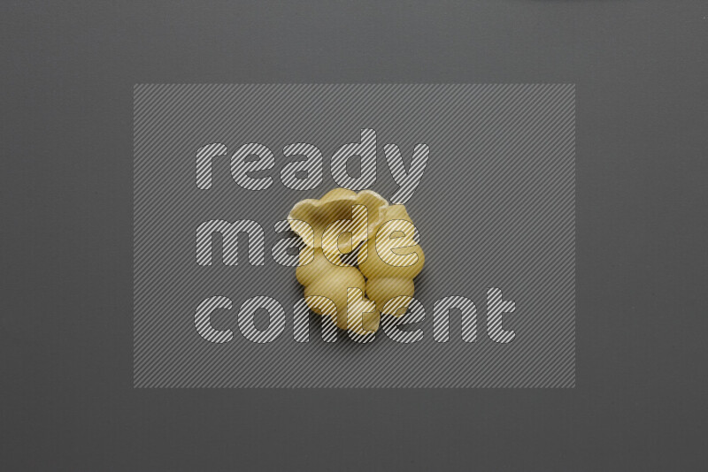 Snails pasta on grey background