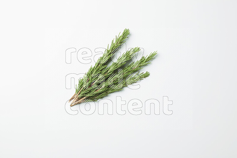 Multi fresh rosemary sprigs on white background