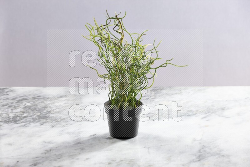 Green artificial plant in black pot on grey marble background