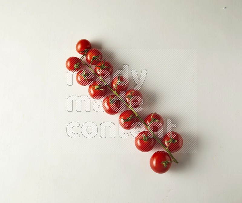 Single cherry tomato vein topview on a white background