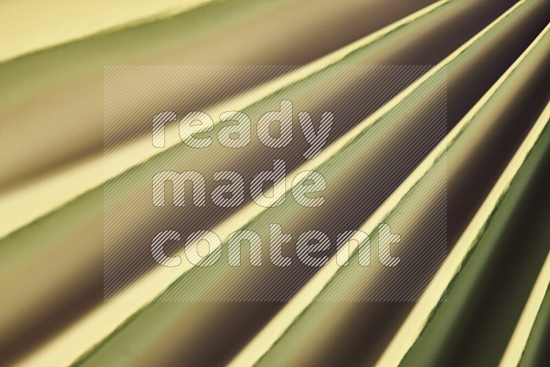 An image presenting an abstract paper pattern of lines in green and gold tones