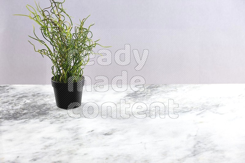 Artificial Plant in black pot on Light Grey Marble Background 45 degree angle