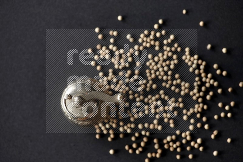 White pepper with a metal pepper grinder on black flooring